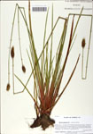 000058593-thumbnail.jpg