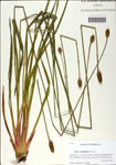 000058628-thumbnail.jpg