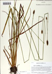 000058637-thumbnail.jpg