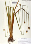 000058716-thumbnail.jpg