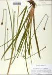 000058785-thumbnail.jpg
