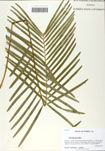 000058862-thumbnail.jpg