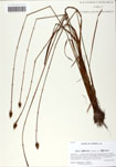 000058876-thumbnail.jpg