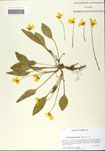 000058947-thumbnail.jpg