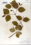 000059110-thumbnail.jpg