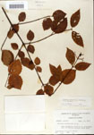 000059120-thumbnail.jpg