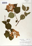 000059127-thumbnail.jpg