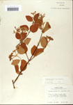 000059152-thumbnail.jpg