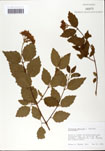 000059153-thumbnail.jpg