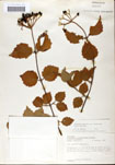 000059160-thumbnail.jpg