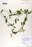 000059360-thumbnail.jpg