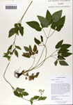 000059361-thumbnail.jpg