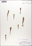 000059624-thumbnail.jpg