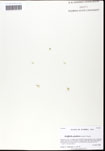 000059646-thumbnail.jpg