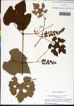 000059727-thumbnail.jpg