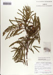 000059845-thumbnail.jpg