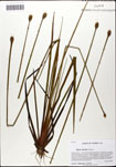 000059978-thumbnail.jpg