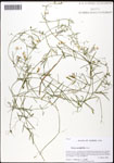 000061043-thumbnail.jpg