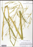 000061055-thumbnail.jpg