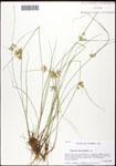 000061076-thumbnail.jpg