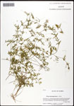 000061125-thumbnail.jpg