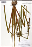 000061235-thumbnail.jpg