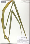 000061272-thumbnail.jpg
