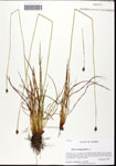 000062053-thumbnail.jpg