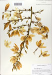 000062156-thumbnail.jpg