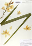 000062157-thumbnail.jpg