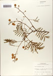 000062164-thumbnail.jpg