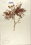 000062166-thumbnail.jpg