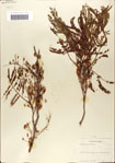 000062169-thumbnail.jpg