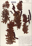 000062170-thumbnail.jpg