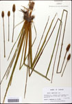 000062223-thumbnail.jpg