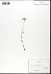 000062323-thumbnail.jpg