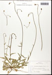 000062324-thumbnail.jpg