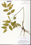 000062386-thumbnail.jpg