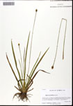 000062396-thumbnail.jpg