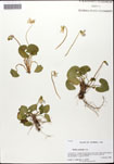 000062422-thumbnail.jpg