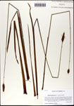 000063448-thumbnail.jpg