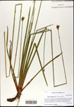 000063449-thumbnail.jpg