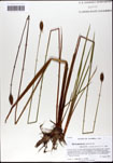 000063450-thumbnail.jpg