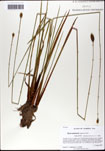 000063451-thumbnail.jpg