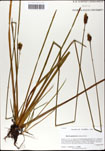 000063452-thumbnail.jpg