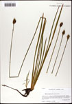 000063453-thumbnail.jpg