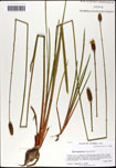 000063455-thumbnail.jpg