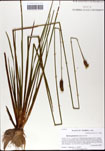000063456-thumbnail.jpg