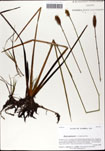 000063458-thumbnail.jpg