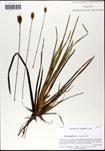 000063459-thumbnail.jpg